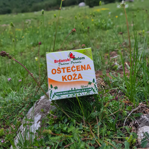 Prirodni melem za bradavice, hemoroide i probleme kože - Brđanski melem